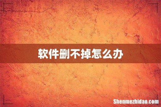 软件删不掉怎么办