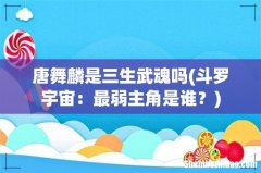 斗罗宇宙：最弱主角是谁？ 唐舞麟是三生武魂吗
