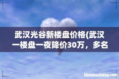 武汉一楼盘一夜降价30万，多名业主维权却被刑拘，楼盘降价的原因是什么？ 武汉光谷新楼盘