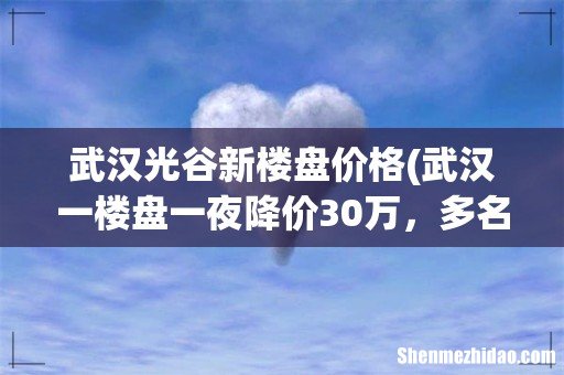 武汉一楼盘一夜降价30万,多名业主维权却被刑拘,楼盘降价的原因是什么? 武汉光谷新楼盘价格