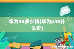 华为p40什么价 华为40多少钱