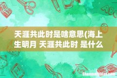 海上生明月 天涯共此时 是什么意思呢 天涯共此时是啥意思