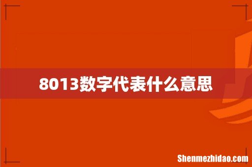 8013数字代表什么意思