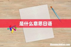 是什么意思日语