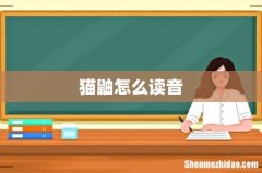 猫鼬怎么读音