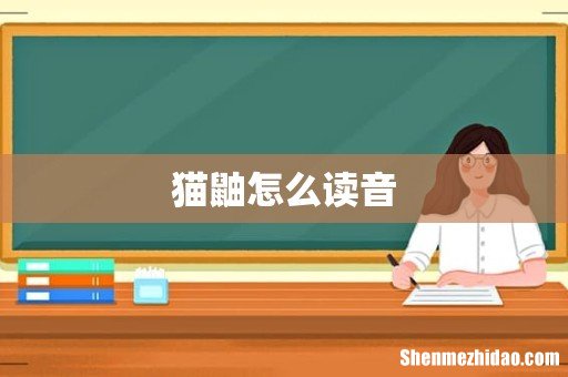 猫鼬怎么读音