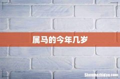 属马的今年几岁