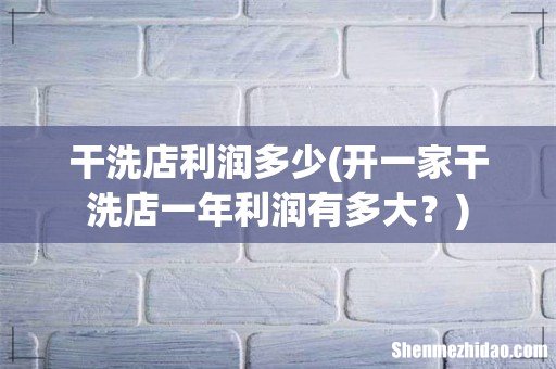 开一家干洗店一年利润有多大? 干洗店利润多少