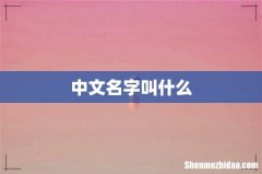 中文名字叫什么