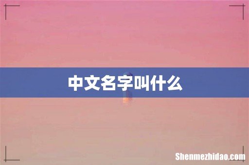 中文名字叫什么