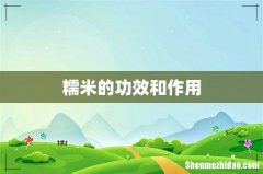 糯米的功效和作用