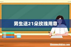 男生送21朵玫瑰用意