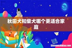 秋田犬和柴犬哪个更适合家庭