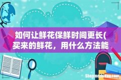 买来的鲜花，用什么方法能够保存的时间更久一点呢？ 如何让鲜花保鲜时间更长