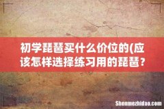 应该怎样选择练习用的琵琶？价钱应该在多少钱左右算合适？学完琵琶大概一共要多少钱？ 初
