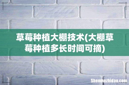 大棚草莓种植多长时间可摘 草莓种植大棚技术