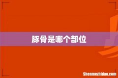 豚骨是哪个部位