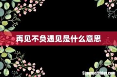 再见不负遇见是什么意思