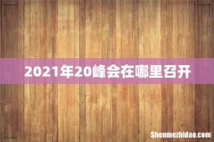 2021年20峰会在哪里召开