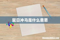 鼠日冲马是什么意思