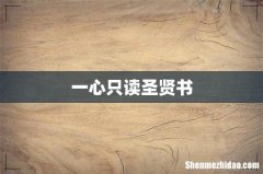 一心只读圣贤书