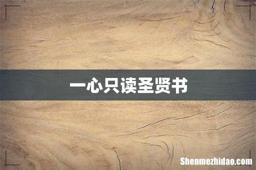 一心只读圣贤书