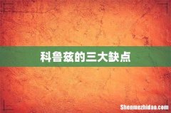 科鲁兹的三大缺点