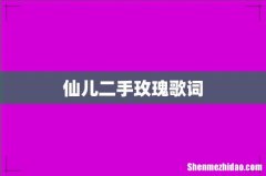 仙儿二手玫瑰歌词