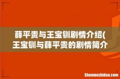 王宝钏与薛平贵的剧情简介 薛平贵与王宝钏剧情介绍