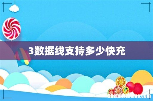 3数据线支持多少快充