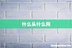 什么头什么向