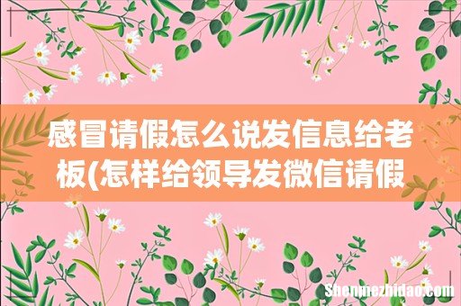 怎样给领导发微信请假? 感冒请假怎么说发信息给老板