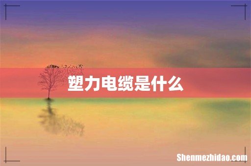 塑力电缆是什么