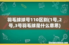 1号,2号,3号羽毛球是什么意思 羽毛球球号110区别