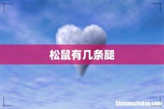 松鼠有几条腿