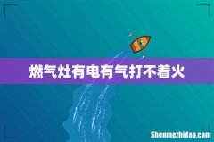 燃气灶有电有气打不着火