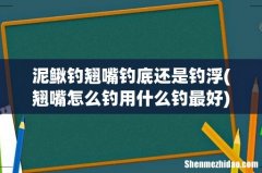 翘嘴怎么钓用什么钓最好 泥鳅钓翘嘴钓底还是钓浮