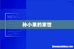 孙小果的家世
