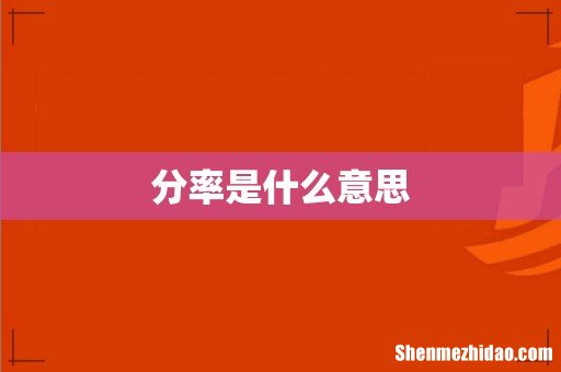 分率是什么意思