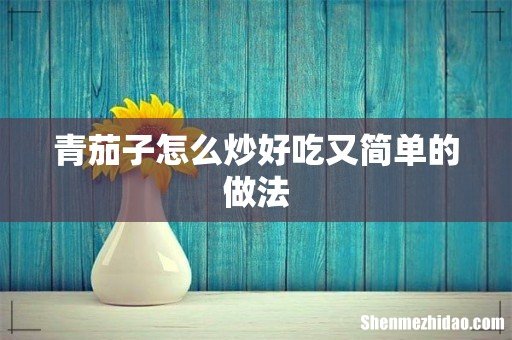 青茄子怎么炒好吃又简单的做法