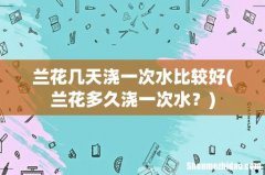 兰花多久浇一次水？ 兰花几天浇一次水比较好