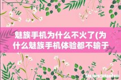 为什么魅族手机体验都不输于旗舰，但是销量和舆论都不算多好呢？ 魅族手机为什么不火了