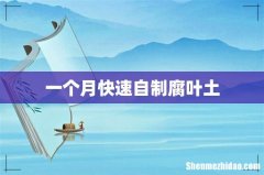 一个月快速自制腐叶土