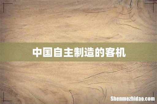 中国自主制造的客机