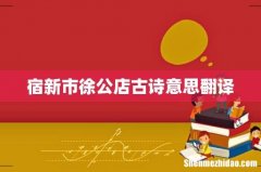宿新市徐公店古诗意思翻译