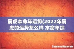 2022年属虎的运势怎么样 本命年综合运势有干扰？ 属虎本命年运势