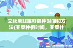 韭菜种植时间，韭菜什么季节种植 立秋后韭菜籽播种时间和方法