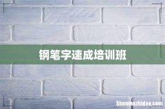 钢笔字速成培训班