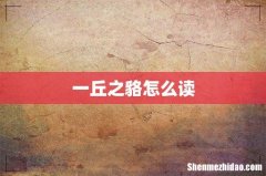 一丘之貉怎么读