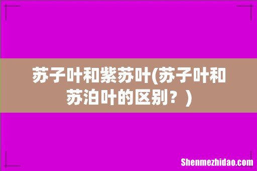 苏子叶和苏泊叶的区别? 苏子叶和紫苏叶